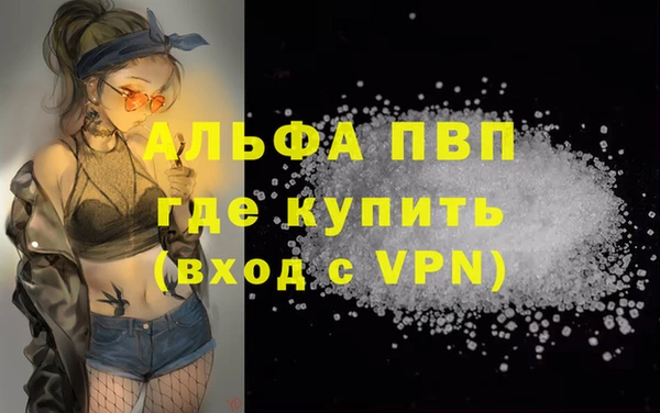 крисы Аркадак