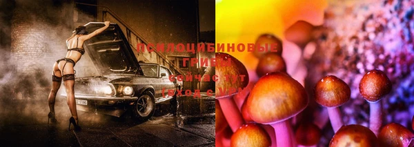 a pvp Арсеньев