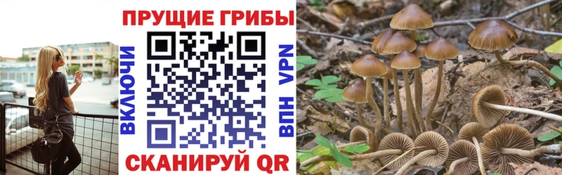 Псилоцибиновые грибы мухоморы  MEGA ССЫЛКА  Новоаннинский 